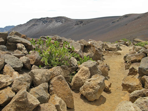 Gran Canaria